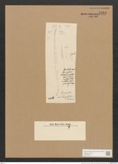 Diatomeae indet. (de-Toni-Nr.: Species 2036 ?) Zeichnungen Sammlung Grunow Nr. 4366 (NHMW-BOT-W0372541)